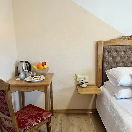 Mountain View Guest house *